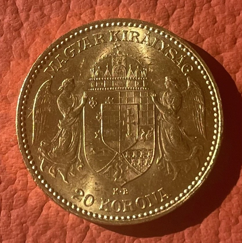 20 Korona 1895 KB  , luxusní  